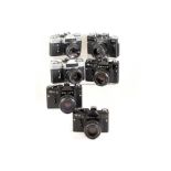 Group of Six Zenit Cameras.