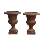 A PAIR OF VICTORIAN CAST IRON CAMPANA GARDEN URNS, 19TH CENTURY