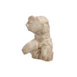 PURE WHITE LINES, AFTER THE ANTIQUE, EVAN, A CLASSICAL SCULPTURE OF THE BELVEDERE TORSO