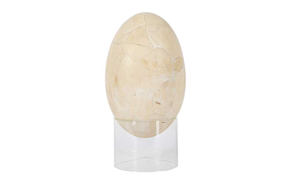 A RARE EXTINCT MULLERORNIS EGG, MADAGASCAR, PRE 17TH CENTURY - Image 2 of 4