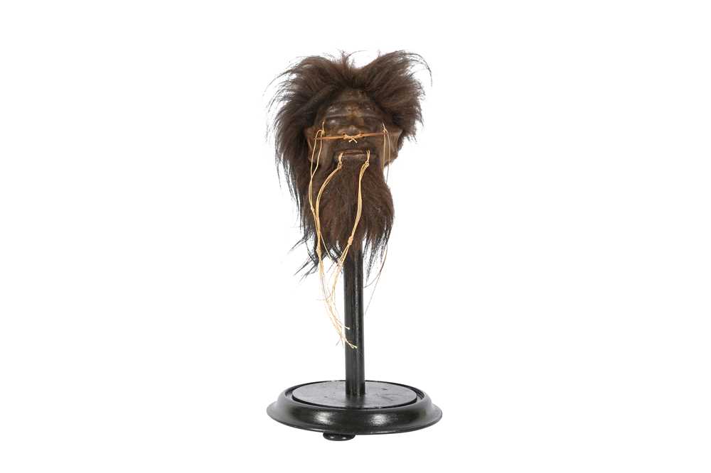 A FAUX SHRUNKEN HEAD ON STAND