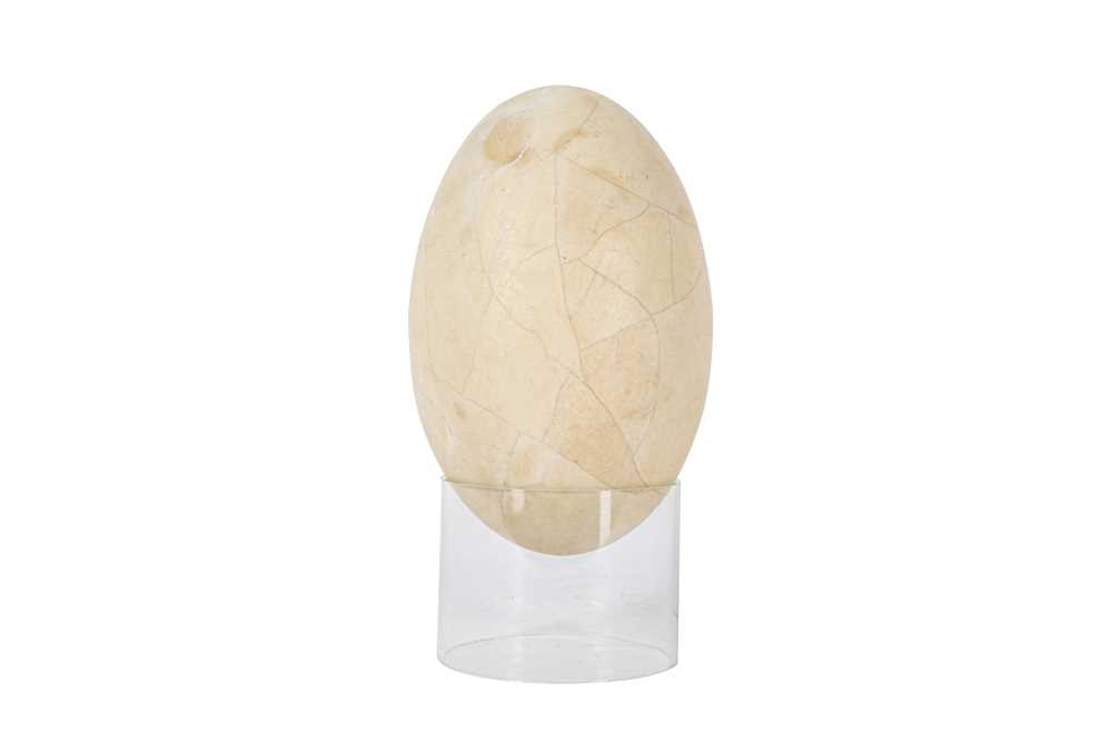 A RARE EXTINCT MULLERORNIS EGG, MADAGASCAR, PRE 17TH CENTURY - Image 4 of 4