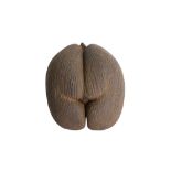 AN EXCEPTIONAL COCO DE MER NUT, IN TACT AND WITH KERNEL COCO DE MER 'THE WORLD'S LARGEST SEED'