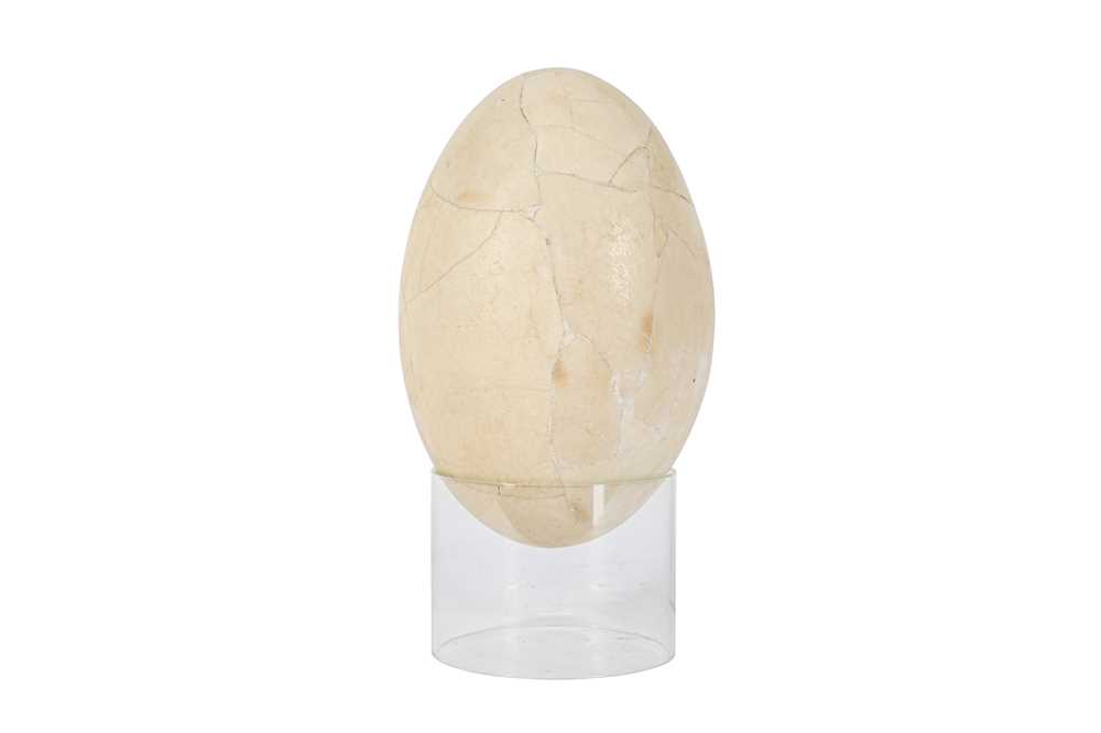 A RARE EXTINCT MULLERORNIS EGG, MADAGASCAR, PRE 17TH CENTURY