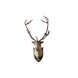 TAXIDERMY: REINDEER (RANGIFER TARANDUS) BY PETER SPICER & SONS, CIRCA 1937