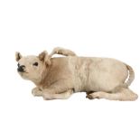 A TAXIDERMY FIVE LEGGED CALF