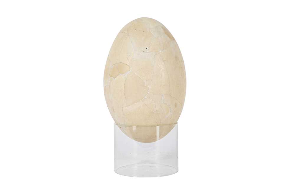 A RARE EXTINCT MULLERORNIS EGG, MADAGASCAR, PRE 17TH CENTURY - Image 3 of 4