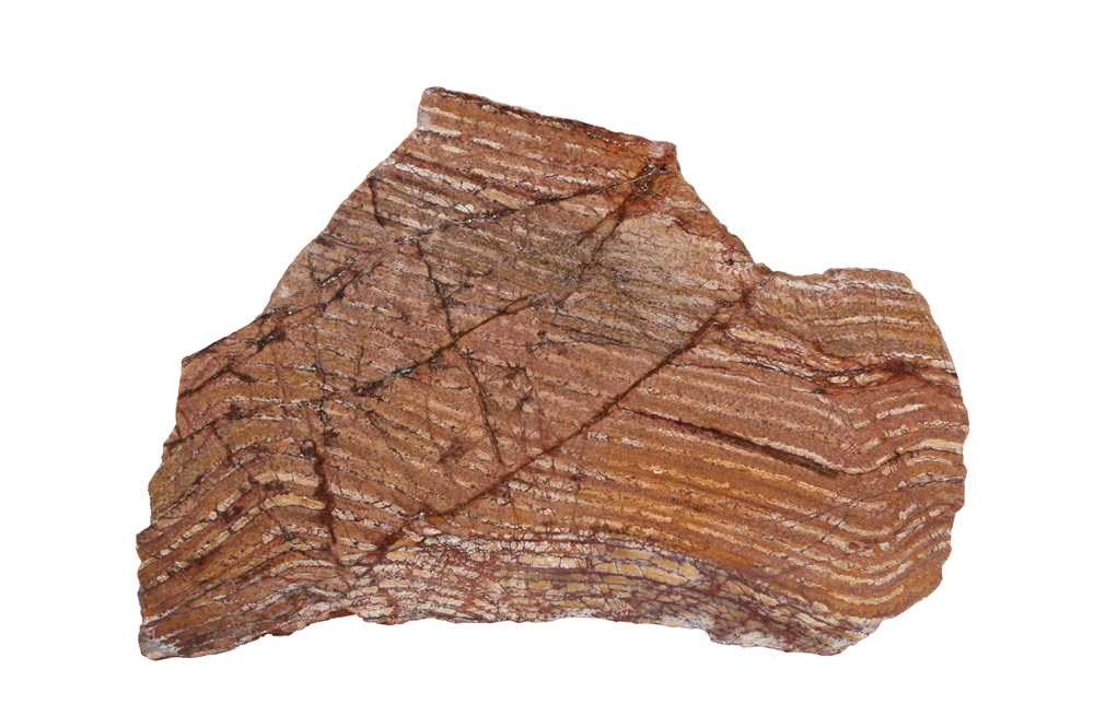 A 3.4 BILLION YEARS OLD STROMATOLITE, ONE OF THE WORLD'S MOST ANCIENT FOSSILS - Image 2 of 2