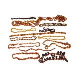 A LARGE COLLECTION OF BALTIC SHARD AMBER* BEAD NECKLACES