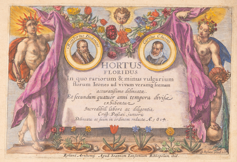 Crispin van de Passe the Younger (Dutch 1597-1670)/Hortus Floridus (title page)/hand-coloured