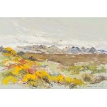 Rosemary Carr (20th Century)/Irish Landscape/oil on paper, 39.5cm x 58.