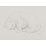 Denise, Lady St. Oswald/Sleeping Cat/initialled/pencil on paper, 15.