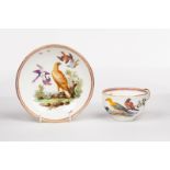 A Coalbrookdale documentary teacup and saucer, painted birds within a puce and gilt rim,