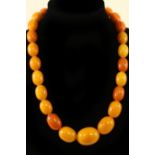 A single row of graduated Baltic amber beads of butterscotch colour, approximately 99.