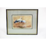 William E Powell (1878-1955)/Study of Two Storks/signed and dated '25/watercolour,