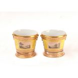 A pair of English porcelain cache pots, circa 1800,