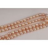 A single row of cultured South Sea pearls
