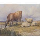 Thomas Sidney Cooper (1803-1902)/Longhorn and Sheep/signed and dated 1862/watercolour,