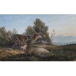 Newton Fielding (1799-1856)/Stag and Hind/watercolour, 17.