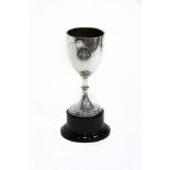 A silver trophy cup for City of Nottingham Regatta, 1931, Birmingham 1931, on an ebonised plinth,
