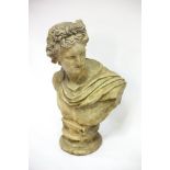 A plaster bust of the Apollo Belvedere,