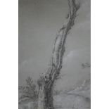 Jean Francois Legillon (1739 - 1797)/Tree in a Landscape/black chalk highlighted in white on paper,