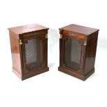 A pair of mahogany speaker cabinets with brass mounts and sphinx mask head mounts, 54cm wide,