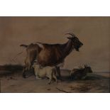 Thomas Sidney Cooper (1803-1902)/Nanny Goat with Kid/watercolour,