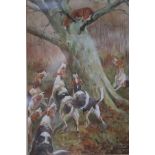George Derville Rowlandson (1861-1930)/A Fox in a Tree, Hounds Below/signed/watercolour, 25.