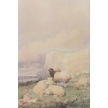Thomas Sidney Cooper (1803-1902)/Sheep below Cliffs/signed and dated 1864/watercolour,