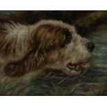 Edward Aistrop (act 1880-1920)/Otter Hound/oil on board,