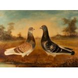 R Hutchinson/Two Pigeons, Dollar and Old Sandy/signed/oil on board,