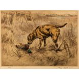Henry Wilkinson (1921-2011)/Golden Retriever with Duck/no 116/150, etching in colour, 24.