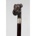A silver mounted walking stick, the handle modelled as the head of an Airedale terrier, marked 925,