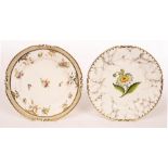 Two Rockingham plates, one with central flower specimen to an imitation marble ground,