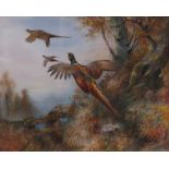 William E Powell (1878-1955)/Pheasant/Black Grouse/a pair/watercolour,