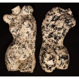 A pair of decorative life size nude torsos, front and back views,