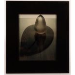 Robert Taylor (Contemporary)/Original Photograph of Glass Sculpture/inscribed on label