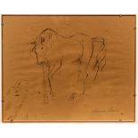 Shenda Amery (born 1937)/Horse/signed and dated 88/conté crayon, 39.