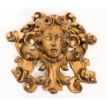 An 18th Century carved and gilded apprentice piece modelled as a mask head in scrolling surround,