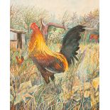 Alex Williams (born 1942)/Cockerel and Horse in a Paddock/signed and dated '96/oil on canvas, 44.