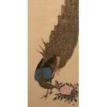 Soken/Peacock/hand coloured print,