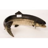 A ceramic figure of a trout by Dalrymple, 31cm long,