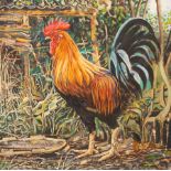 Alex Williams (born 1942)/Cockerel/signed and dated '96/oil on canvas,