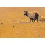 Karl Taylor (born 1964)/Sheep and Finches/oil on board, 24cm x 34.
