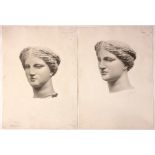 BLD/Study of a Classical Goddess' Head/initialled/charcoal, 56.