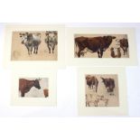 Henry William Banks Davis RA (1833-1914)/Cattle/four studies/oil on paper,