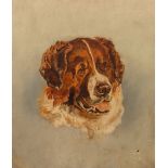 20th Century English School/Portrait of a St Bernard/oil on canvas,