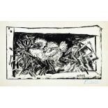 Picasso. Pigeonneau dans son nid. Lithographie. 1947