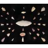 A collection of arrowheads mounted on a velvet lined board